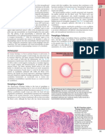 Pemphigus Foliaceus: Fig. 29.13B