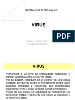 8 Virus