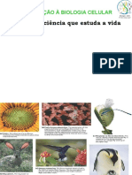 Biologia Celular Aula 1 Scribd