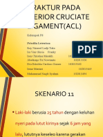 Fraktur Pada Anterior Cruciate Ligament (Acl) : Kelompok F8