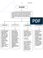 Mapa Conceptual Glucosa PDF