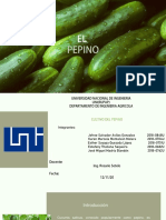 Presentación Pepino