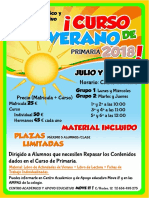 cartel curso verano.pdf