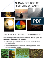 WK 9 Photosynthesis