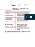 Laboratorio 7 Pared Posterior de Abdomen Riñon Vejiga PDF