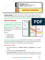 Anestesia Extradural 17-03-17 PDF