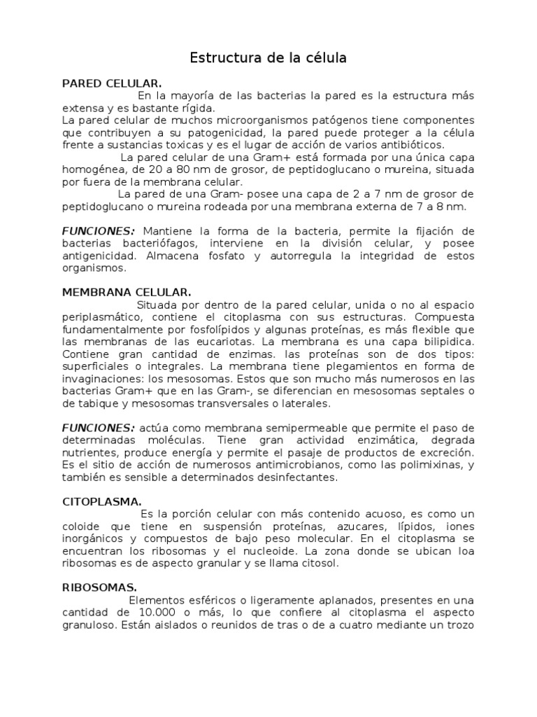 Estructura de la célula bacteriana | PDF | Las bacterias | Citoplasma
