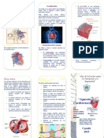 APARATO CARDIOVASCULAR TRIPTICO