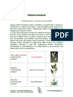 Toxic Plants Hu PDF