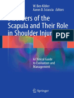 Disorders of The Scapula and Their Role in Shoulder Injury (Kibler Wet Al., 2017)