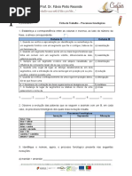 F.T. processos fonológicos