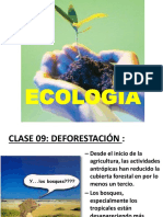 Tema 9 -Deforestación