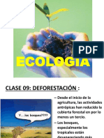 Tema 9 - Deforestación