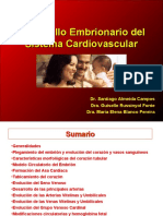 Web Embriologia Ii, Sistema Cardiovascular