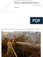 Delegacia de Meio Ambiente busca responsáveis pelos incêndios no Pantanal - Publicador de conteúdo