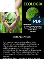 La importancia de los ecosistemas y la biodiversidad