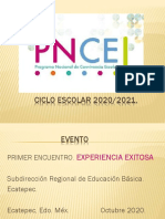 Experiencia Exitosa PNCE