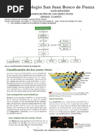 Taller Clasificacion de Los Seres Vivos CUARTO