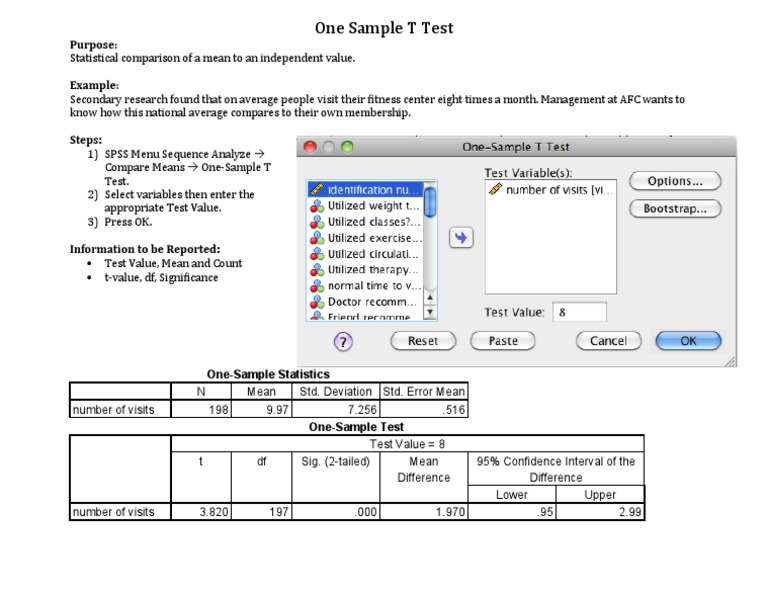 Example One Sample T Test | PDF