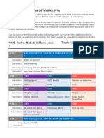 Individualized Plan of Work (Ipw) : Name: Andrea Michelle Calderón López Track: CEO