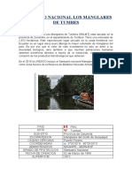 Informe de Los Manglares de Tumbes