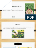 SOYA PPT.pdf