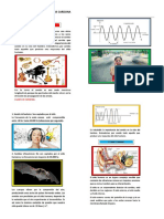 Guías Fisica Grado 11 PDF