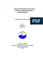 Sampul 01 PKL Chyko - Doc1