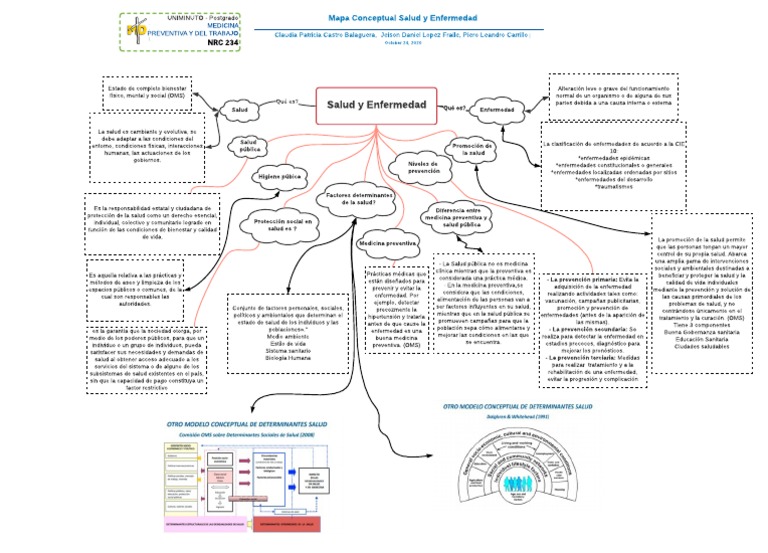 Mapa Conceptual de Salud y Enfermedad | PDF | Asistencia sanitaria ...