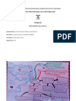 Mapa Mental de La Nic 41 PDF