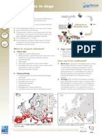 CVBD Ehrlichiosis 190225-Web PDF