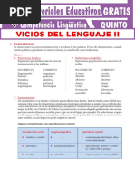 Vicios Del Lenguaje