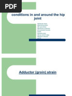 Download conditions in and around the hip joint by Zubia Veqar SN48404916 doc pdf