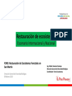 MINAM-2019-02-21 Restauracion de Ecosistemas PDF