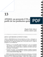Un Proyecto CTS. Medir y Abello (2001)
