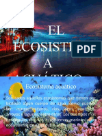 Ecosistema Acuatico