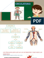 Aparato Circulatorio