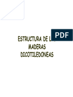 Clase 7 Estructura de Las Maderas Dicotiledoneas (Modo de Compatibilidad) PDF