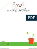 Senses Smell Kindergarten PDF