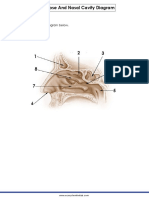 Nose and Nasal Cavity Diagram: Label The Parts of The Diagram Below