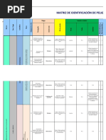 Matriz D Peligros Formato Ro.10