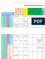 Matriz D Peligros Formato Ro.10