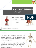 Ossos do sistema esquelético axial