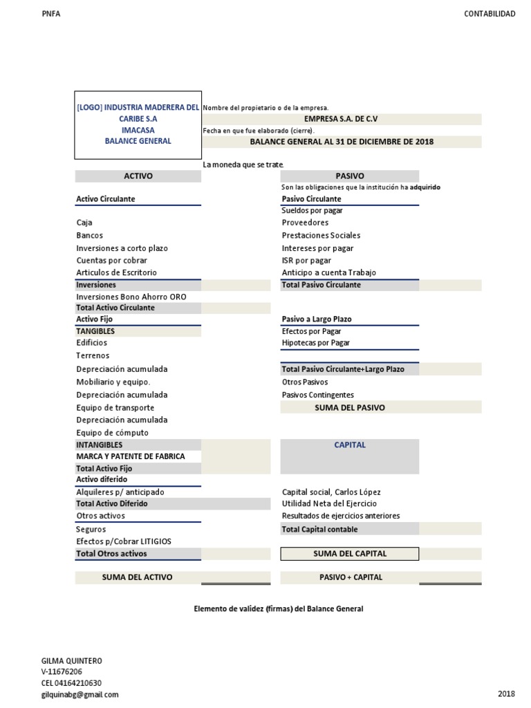 Formato de Balance General | PDF | Hoja de balance | Depreciación