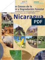 Causas deforestación Nicaragua