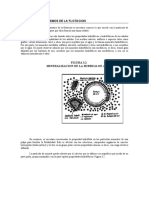 Proceso Flotacion 3