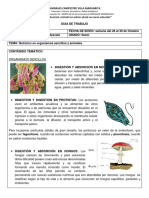 Nutricion en Organismos Sencillos y Animales