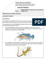 Nutricion en Animales Vertebrados