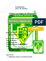 Petrofísica Investigación