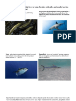 Marine Life Guide